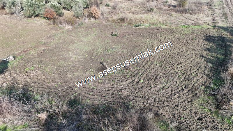 1.258 m2 Hobi Bahçesi Bağ-Bahçe Kadastro Yola Cepheli Bayramiçte