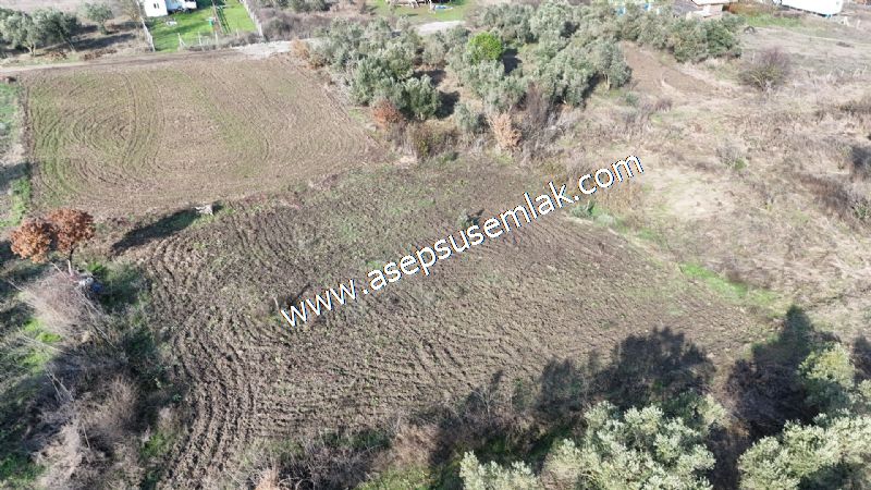 1.258 m2 Hobi Bahçesi Bağ-Bahçe Kadastro Yola Cepheli Bayramiçte
