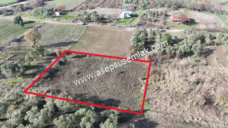 1.258 m2 Hobi Bahçesi Bağ-Bahçe Kadastro Yola Cepheli Bayramiçte