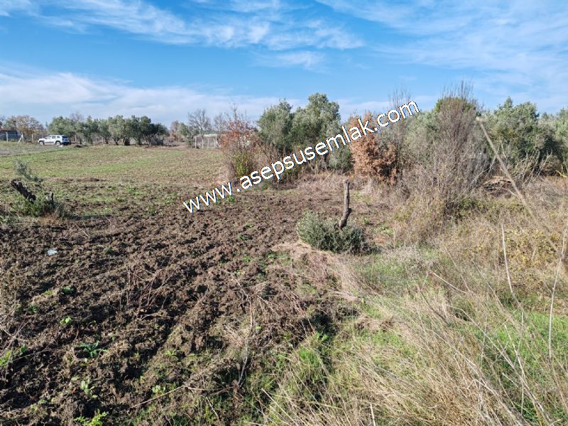 1.258 m2 Hobi Bahçesi Bağ-Bahçe Kadastro Yola Cepheli Bayramiçte