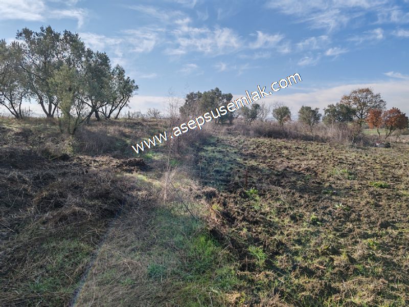 1.258 m2 Hobi Bahçesi Bağ-Bahçe Kadastro Yola Cepheli Bayramiçte