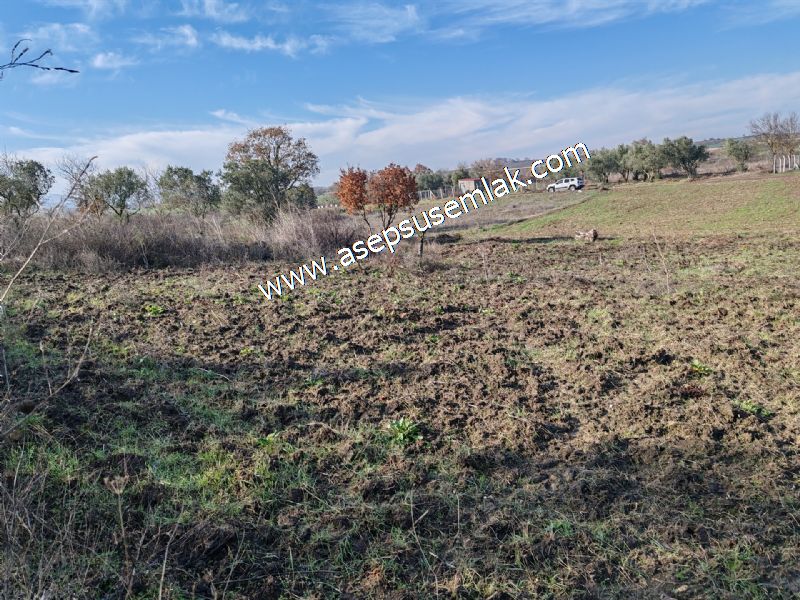 1.258 m2 Hobi Bahçesi Bağ-Bahçe Kadastro Yola Cepheli Bayramiçte