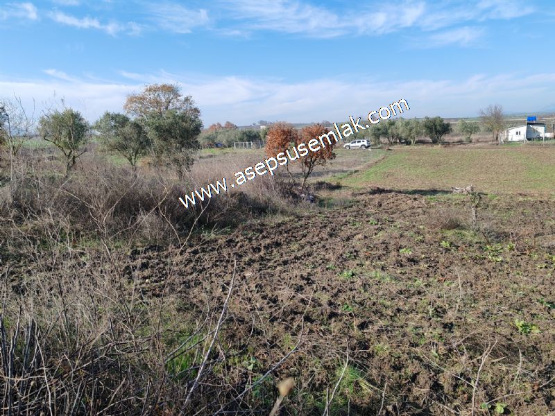 1.258 m2 Hobi Bahçesi Bağ-Bahçe Kadastro Yola Cepheli Bayramiçte