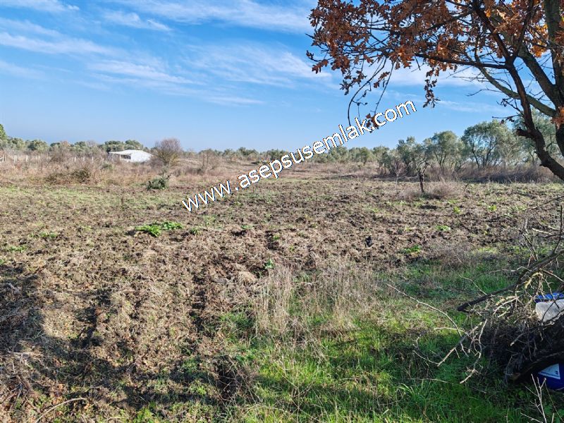 1.258 m2 Hobi Bahçesi Bağ-Bahçe Kadastro Yola Cepheli Bayramiçte