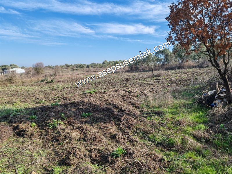 1.258 m2 Hobi Bahçesi Bağ-Bahçe Kadastro Yola Cepheli Bayramiçte
