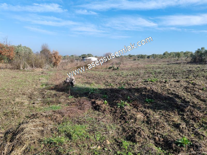 1.258 m2 Hobi Bahçesi Bağ-Bahçe Kadastro Yola Cepheli Bayramiçte