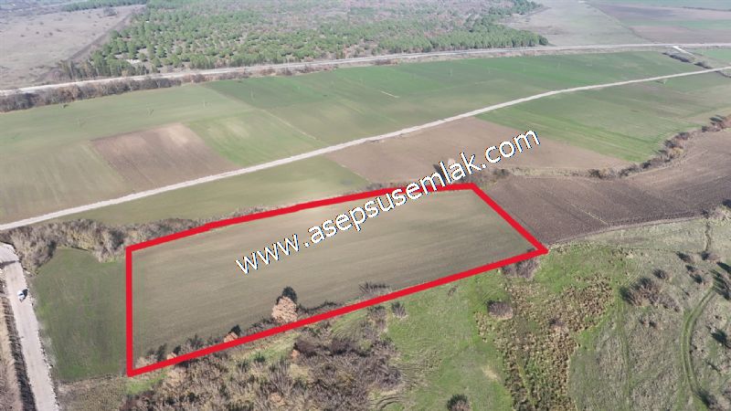 10.657 m2 Çiftlik Bağ-Bahçe Kadastro Yola Cepheli Bayramiç'te