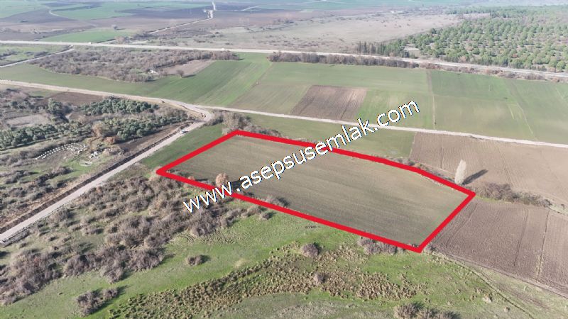 10.657 m2 Çiftlik Bağ-Bahçe Kadastro Yola Cepheli Bayramiç'te