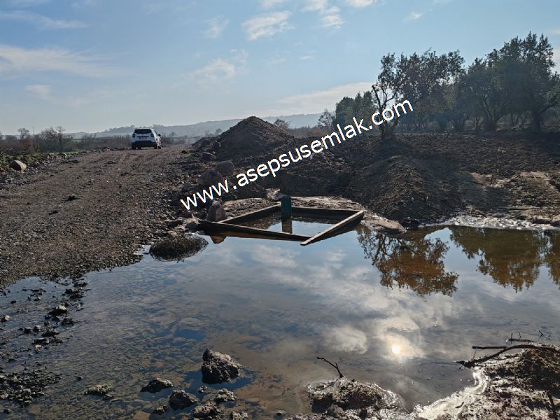 10.657 m2 Çiftlik Bağ-Bahçe Kadastro Yola Cepheli Bayramiç'te
