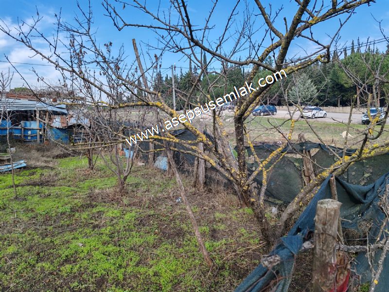 228 m2 Elektrik Su Aboneliği Var. 3 Kat İmarlı Plevne Gönen'de