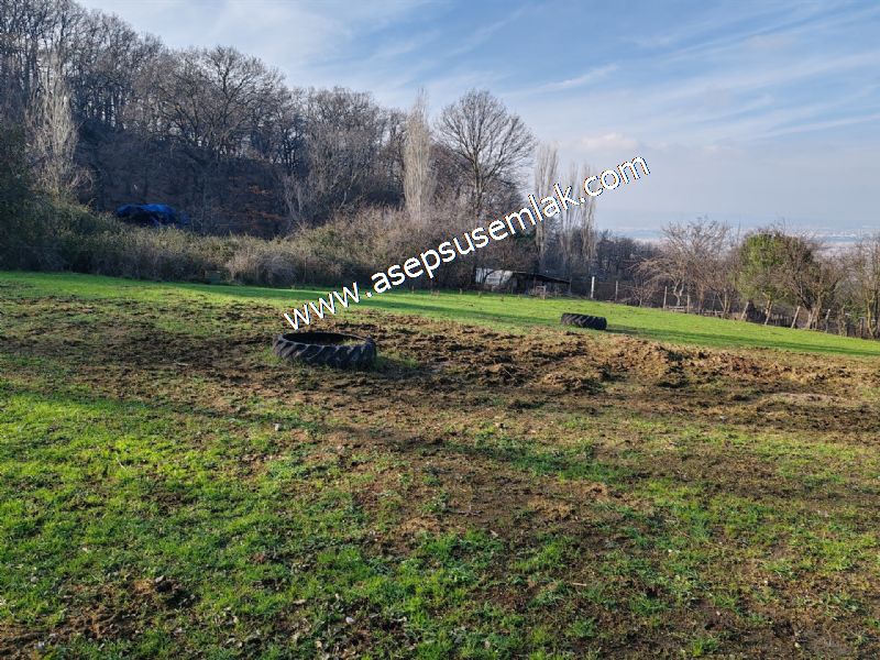 2.264 M2 İmarlı Arsa 2 Kat %40 Müstakil Köy Evi, Bağ-Bahçe(3e Böl)