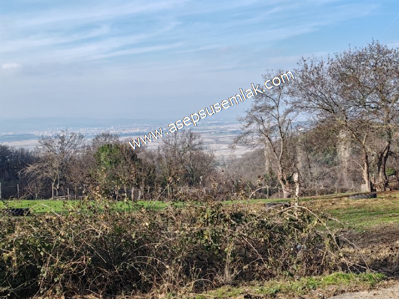 2.264 M2 İmarlı Arsa 2 Kat %40 Müstakil Köy Evi, Bağ-Bahçe(3e Böl)