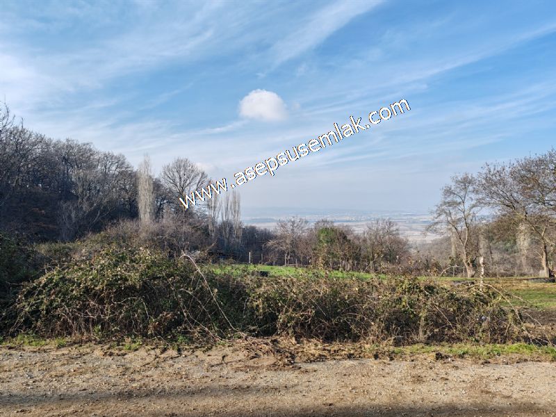 2.264 M2 İmarlı Arsa 2 Kat %40 Müstakil Köy Evi, Bağ-Bahçe(3e Böl)