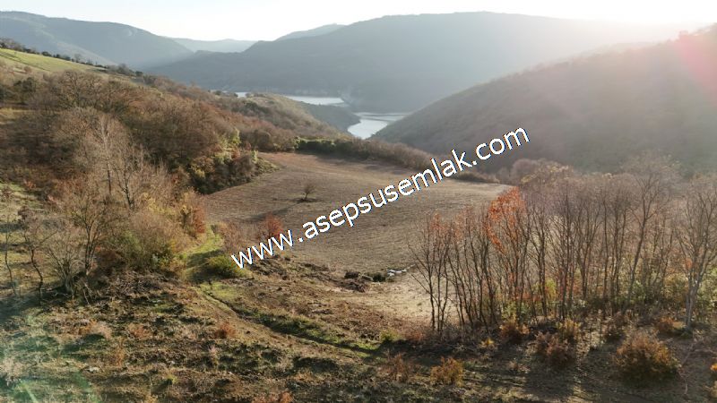 21.136 m2 Yatırımlık Tarla Bağ Bahçe Hobi Bahçesi Resmi Yol Yok.