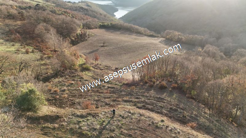 21.136 m2 Yatırımlık Tarla Bağ Bahçe Hobi Bahçesi Resmi Yol Yok.