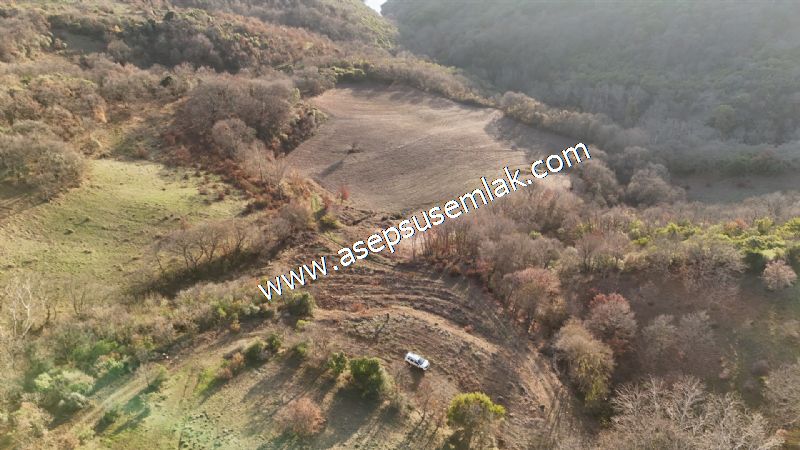 21.136 m2 Yatırımlık Tarla Bağ Bahçe Hobi Bahçesi Resmi Yol Yok.