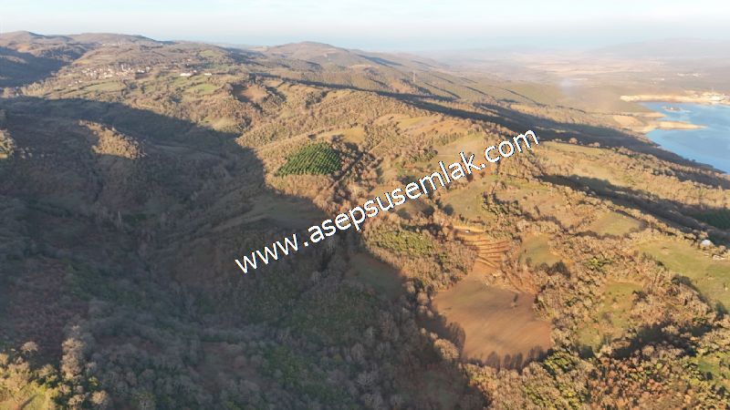 21.136 m2 Yatırımlık Tarla Bağ Bahçe Hobi Bahçesi Resmi Yol Yok.