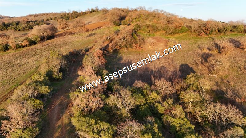 21.136 m2 Yatırımlık Tarla Bağ Bahçe Hobi Bahçesi Resmi Yol Yok.