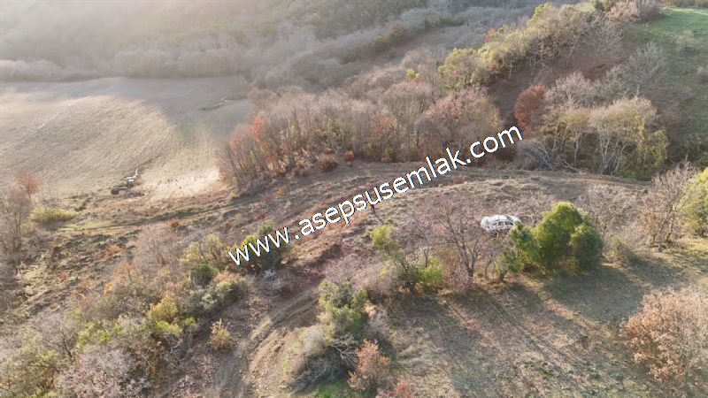 21.136 m2 Yatırımlık Tarla Bağ Bahçe Hobi Bahçesi Resmi Yol Yok.