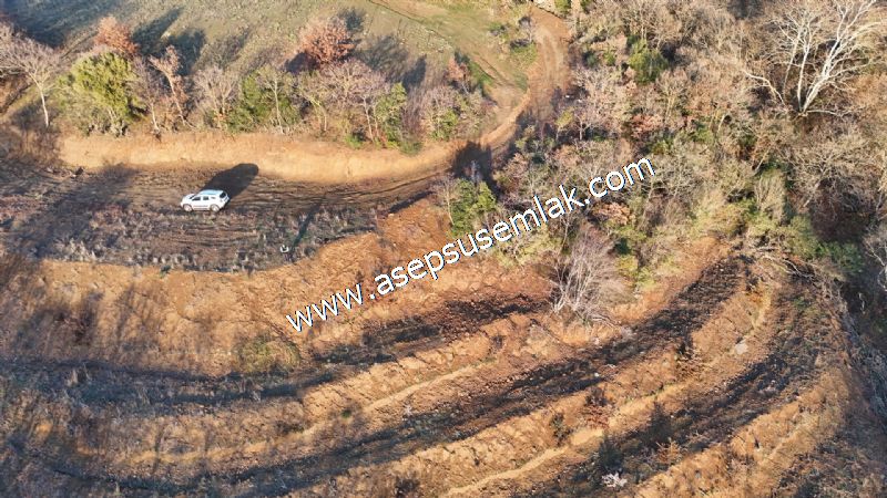 21.136 m2 Yatırımlık Tarla Bağ Bahçe Hobi Bahçesi Resmi Yol Yok.