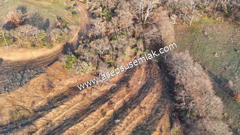 21.136 m2 Yatırımlık Tarla Bağ Bahçe Hobi Bahçesi Resmi Yol Yok.