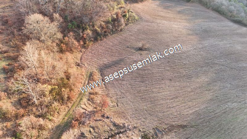 21.136 m2 Yatırımlık Tarla Bağ Bahçe Hobi Bahçesi Resmi Yol Yok.