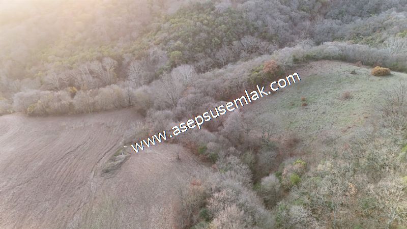 21.136 m2 Yatırımlık Tarla Bağ Bahçe Hobi Bahçesi Resmi Yol Yok.
