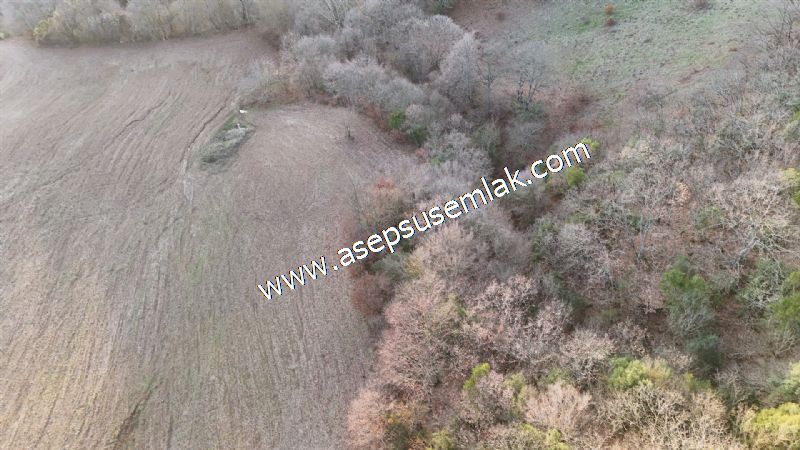 21.136 m2 Yatırımlık Tarla Bağ Bahçe Hobi Bahçesi Resmi Yol Yok.