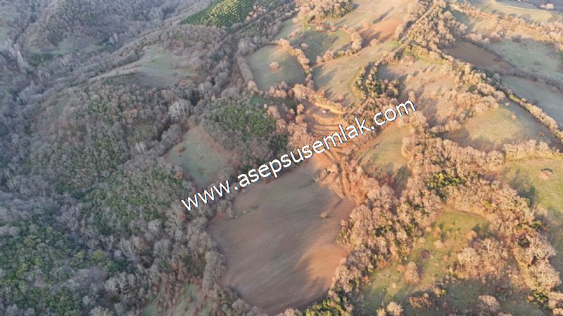 21.136 m2 Yatırımlık Tarla Bağ Bahçe Hobi Bahçesi Resmi Yol Yok.