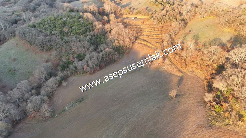 21.136 m2 Yatırımlık Tarla Bağ Bahçe Hobi Bahçesi Resmi Yol Yok.
