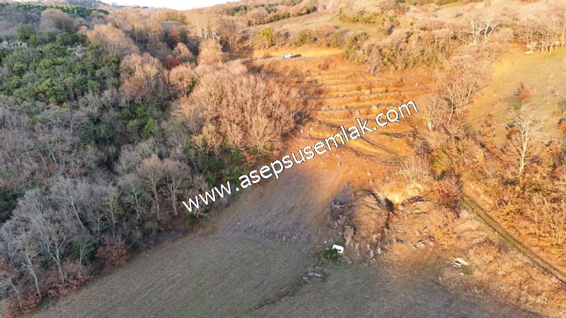 21.136 m2 Yatırımlık Tarla Bağ Bahçe Hobi Bahçesi Resmi Yol Yok.