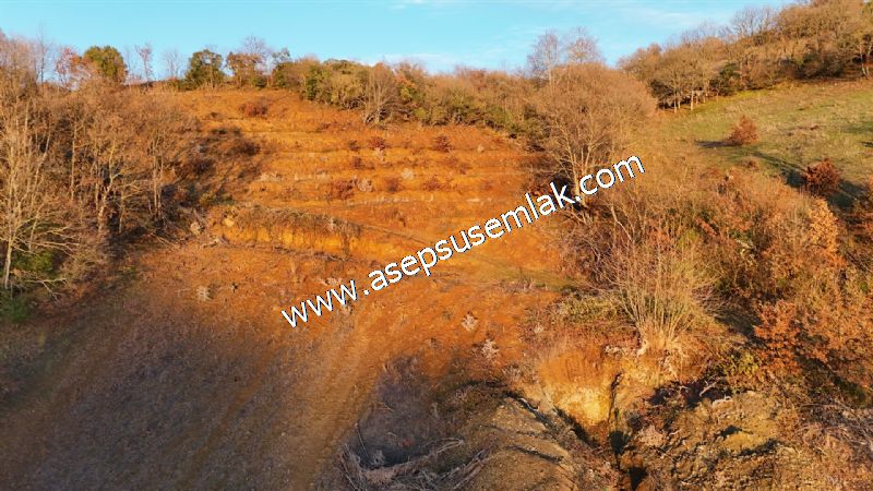21.136 m2 Yatırımlık Tarla Bağ Bahçe Hobi Bahçesi Resmi Yol Yok.
