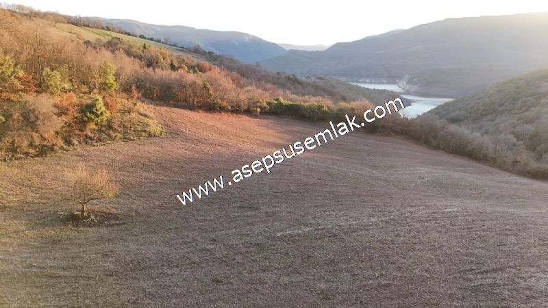 21.136 m2 Yatırımlık Tarla Bağ Bahçe Hobi Bahçesi Resmi Yol Yok.