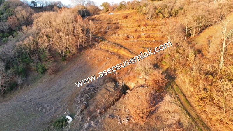 21.136 m2 Yatırımlık Tarla Bağ Bahçe Hobi Bahçesi Resmi Yol Yok.