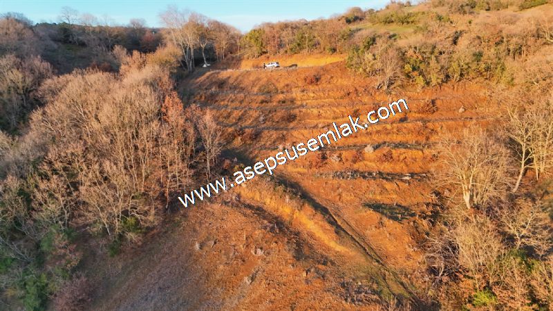 21.136 m2 Yatırımlık Tarla Bağ Bahçe Hobi Bahçesi Resmi Yol Yok.