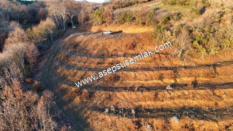 21.136 m2 Yatırımlık Tarla Bağ Bahçe Hobi Bahçesi Resmi Yol Yok.