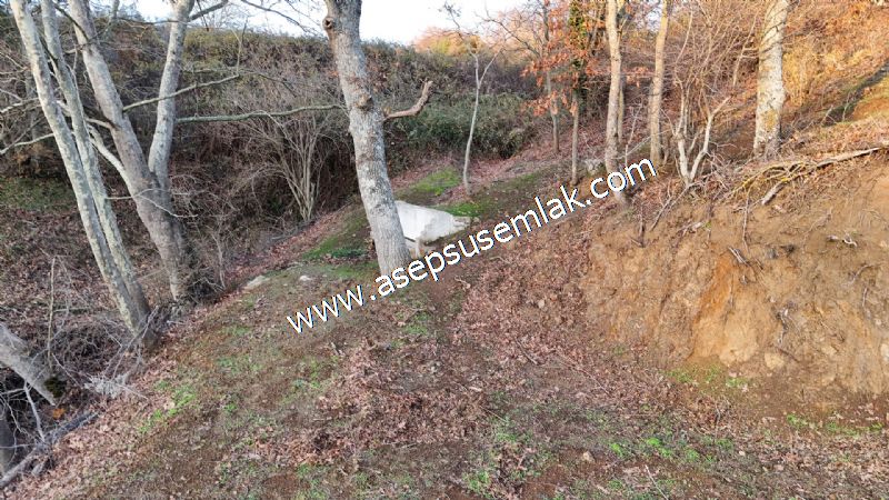 21.136 m2 Yatırımlık Tarla Bağ Bahçe Hobi Bahçesi Resmi Yol Yok.