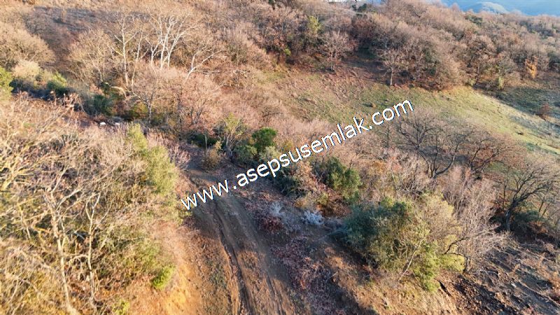 21.136 m2 Yatırımlık Tarla Bağ Bahçe Hobi Bahçesi Resmi Yol Yok.