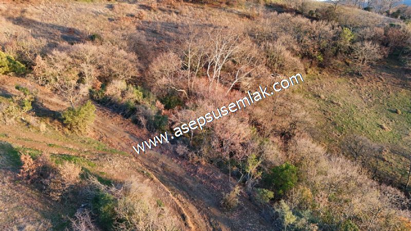 21.136 m2 Yatırımlık Tarla Bağ Bahçe Hobi Bahçesi Resmi Yol Yok.