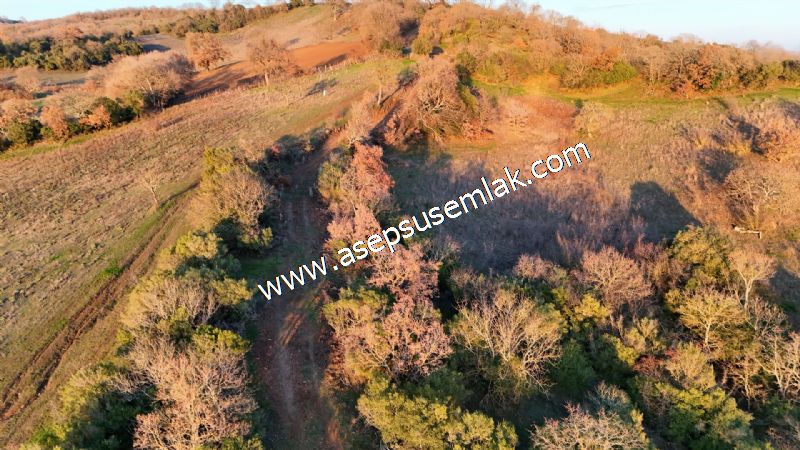 21.136 m2 Yatırımlık Tarla Bağ Bahçe Hobi Bahçesi Resmi Yol Yok.