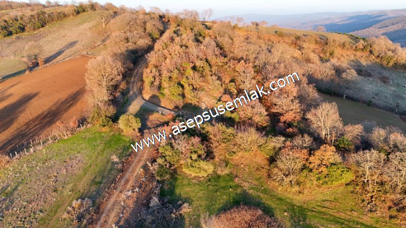 21.136 m2 Yatırımlık Tarla Bağ Bahçe Hobi Bahçesi Resmi Yol Yok.