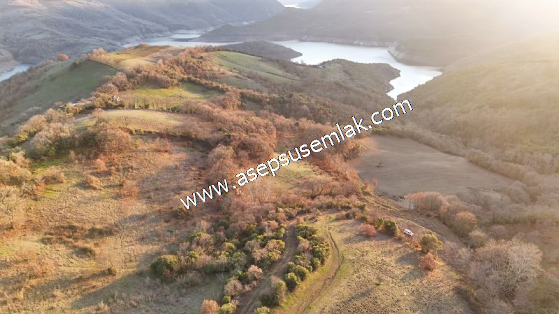 21.136 m2 Yatırımlık Tarla Bağ Bahçe Hobi Bahçesi Resmi Yol Yok.