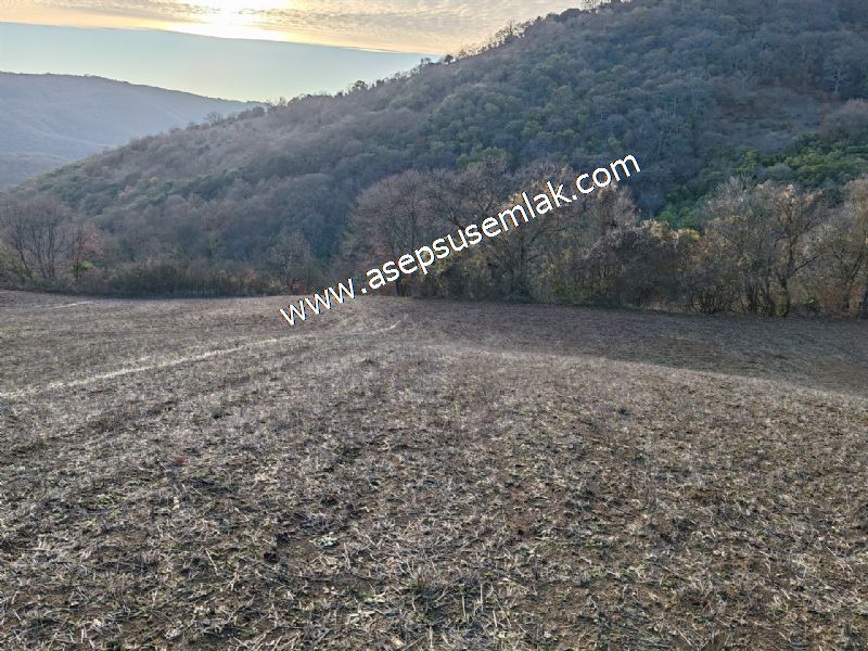 21.136 m2 Yatırımlık Tarla Bağ Bahçe Hobi Bahçesi Resmi Yol Yok.