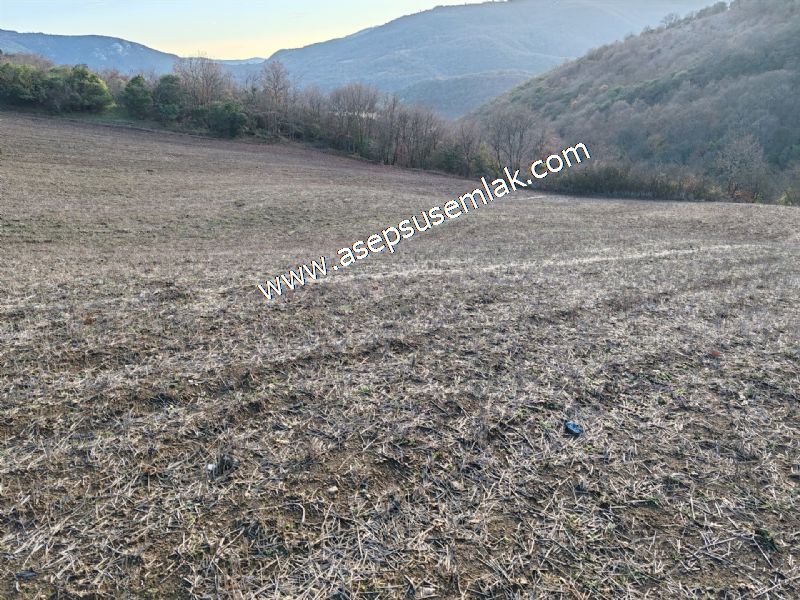 21.136 m2 Yatırımlık Tarla Bağ Bahçe Hobi Bahçesi Resmi Yol Yok.