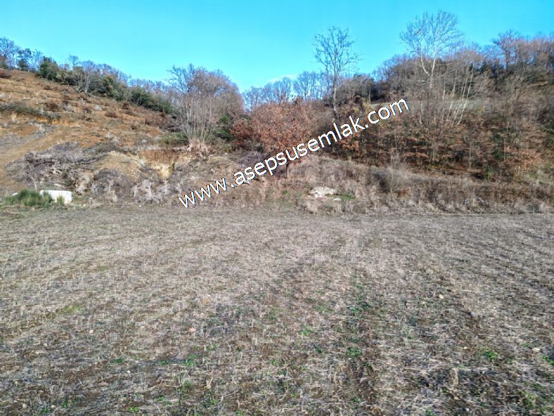 21.136 m2 Yatırımlık Tarla Bağ Bahçe Hobi Bahçesi Resmi Yol Yok.