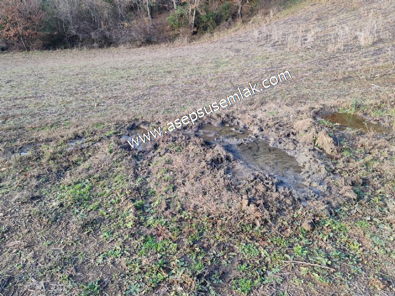 21.136 m2 Yatırımlık Tarla Bağ Bahçe Hobi Bahçesi Resmi Yol Yok.