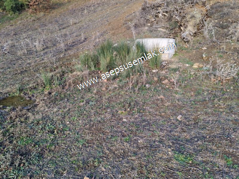21.136 m2 Yatırımlık Tarla Bağ Bahçe Hobi Bahçesi Resmi Yol Yok.