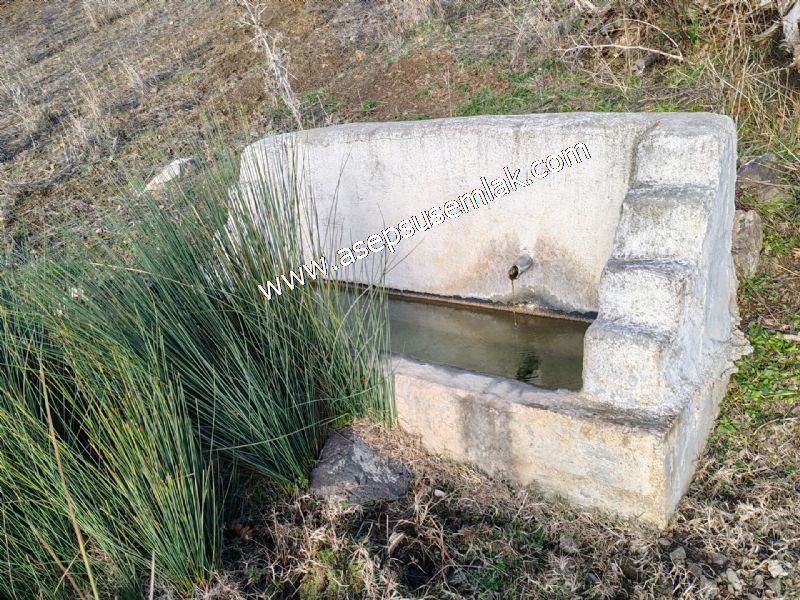 21.136 m2 Yatırımlık Tarla Bağ Bahçe Hobi Bahçesi Resmi Yol Yok.