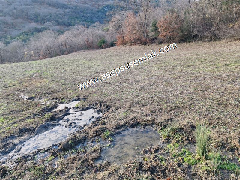 21.136 m2 Yatırımlık Tarla Bağ Bahçe Hobi Bahçesi Resmi Yol Yok.