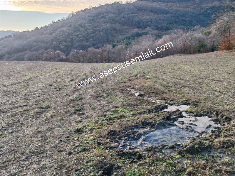 21.136 m2 Yatırımlık Tarla Bağ Bahçe Hobi Bahçesi Resmi Yol Yok.